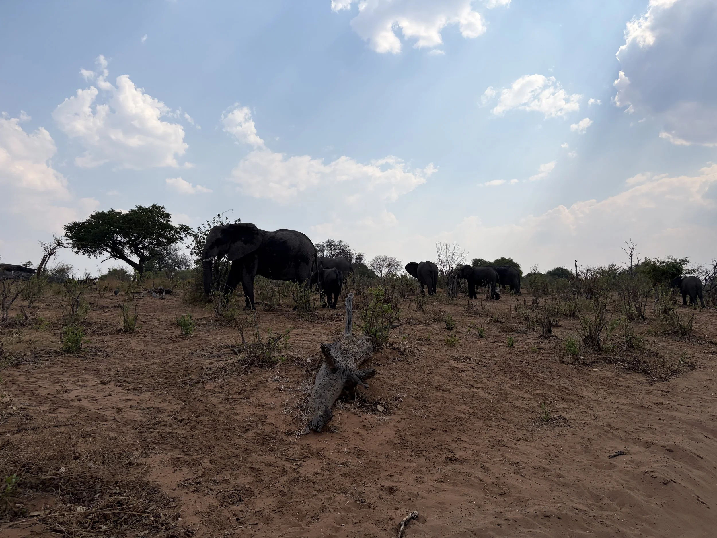 IMG_5705.jpeg