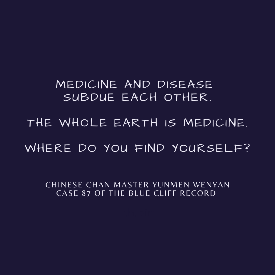 A reflection on the Earth as medicine