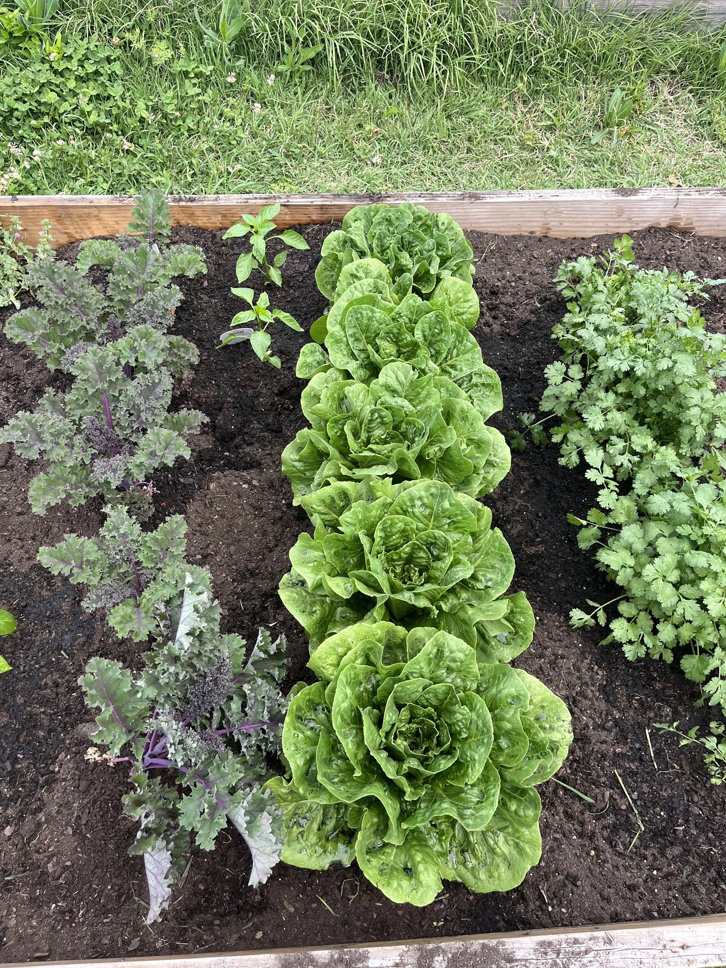 On faith in a seed