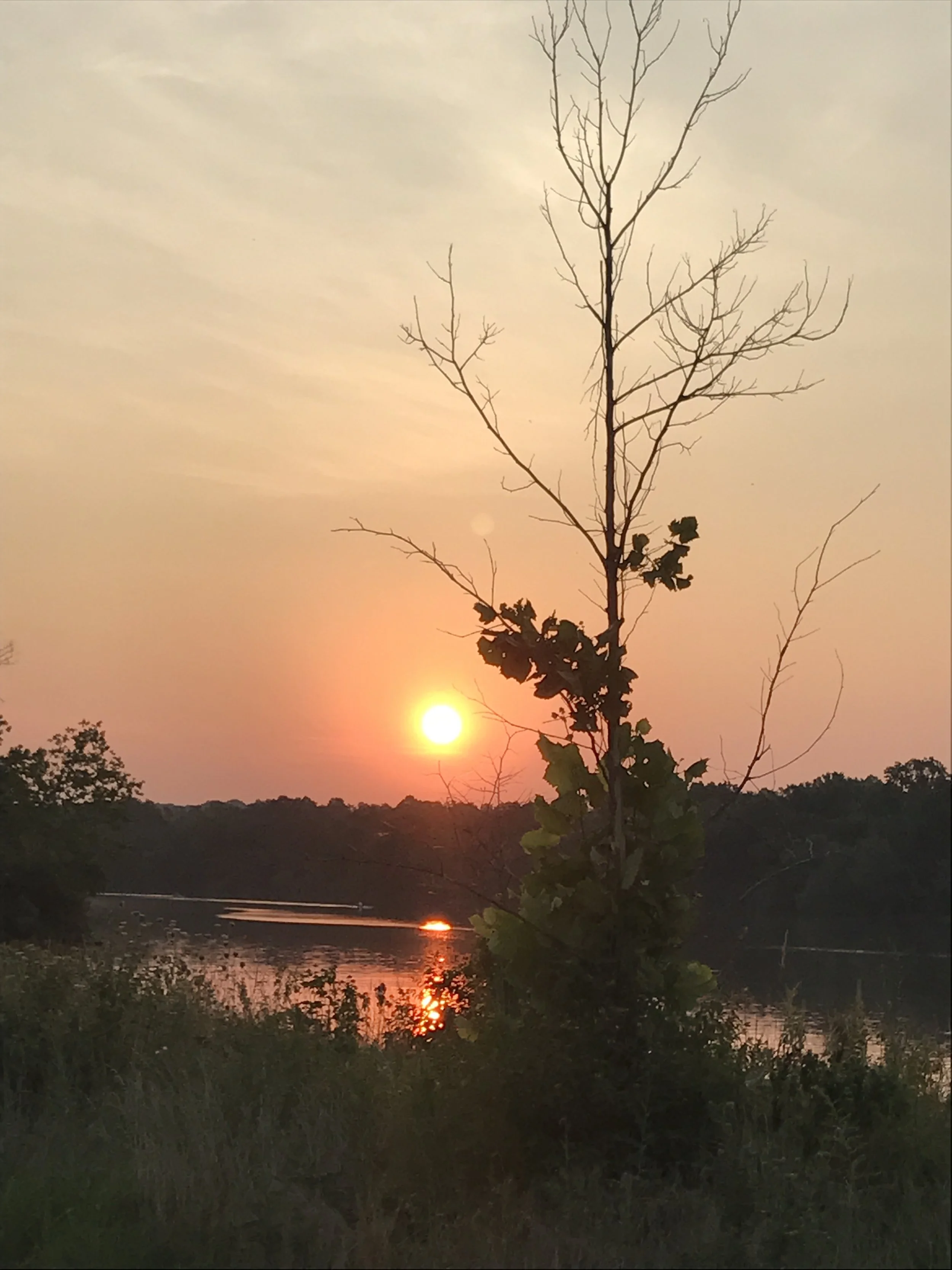 Sunrise from the Shenandoah Valley 2020