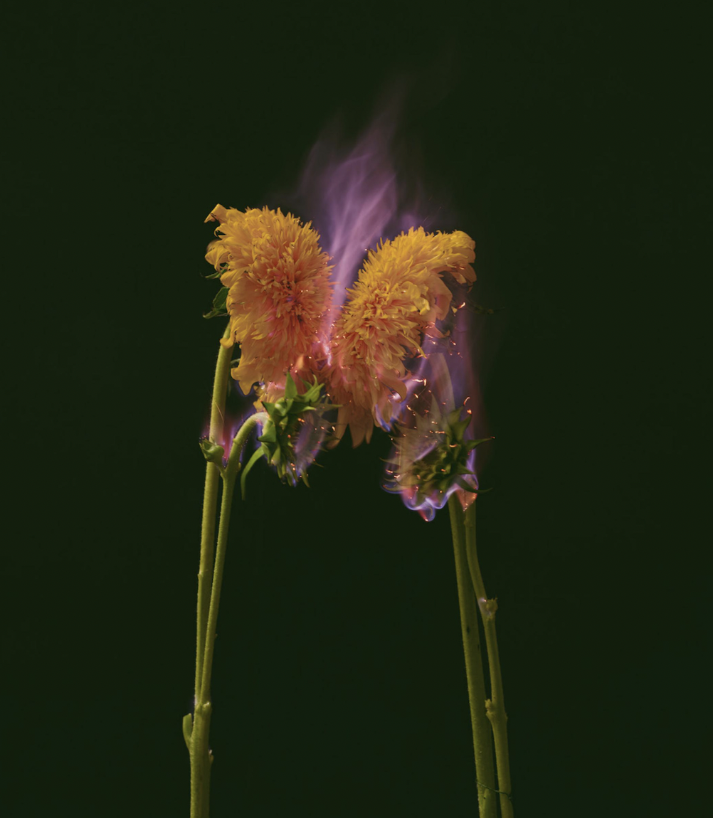 JIANG ZHI PHOTOGRAPHY 