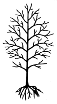 Bare-Root.gif