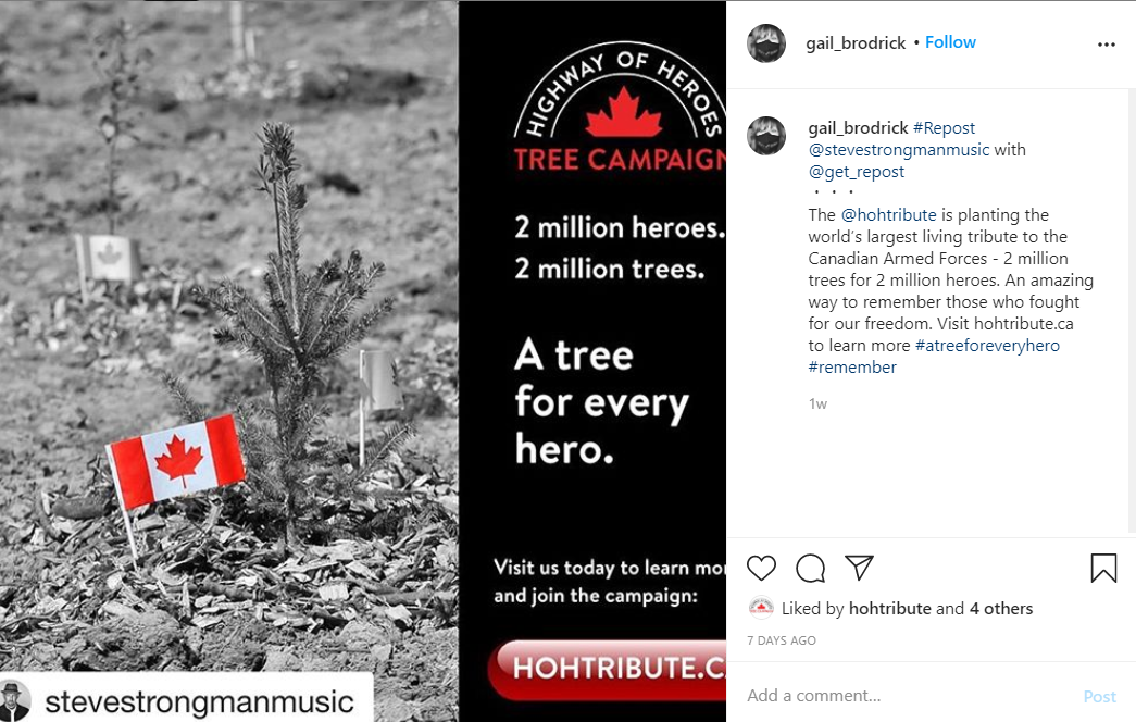 Gail Brodrick Insta.png