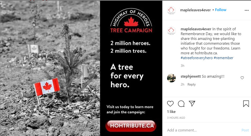 Maple Leaves Forever Insta.png