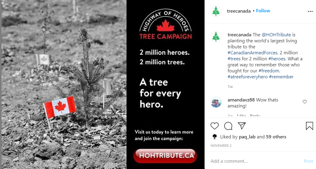 Tree Canada Insta.png