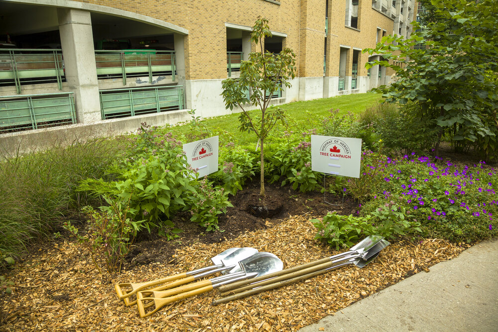 ARSENAULT_TreePlanting_210917_162.jpg