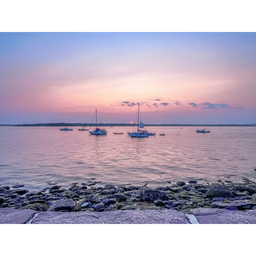 Lavender Harbor