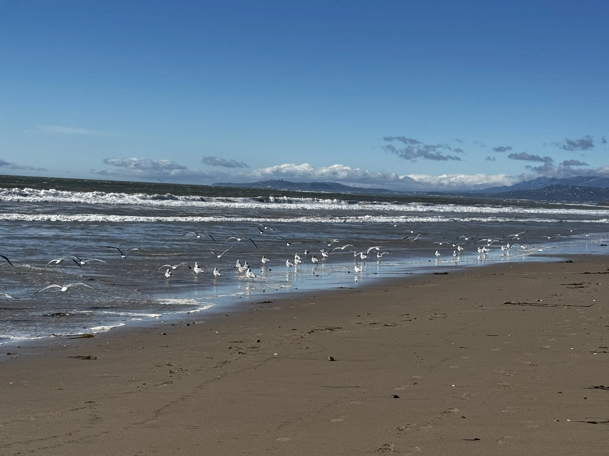 Ventura-2024-02.jpg