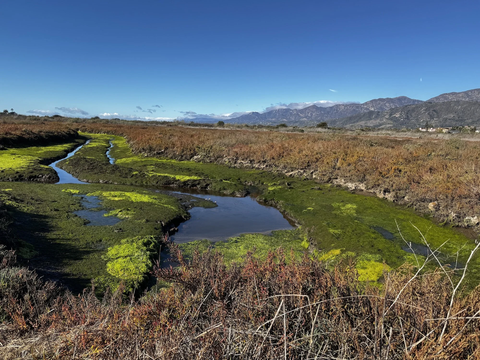 Ventura-2024-04.jpg