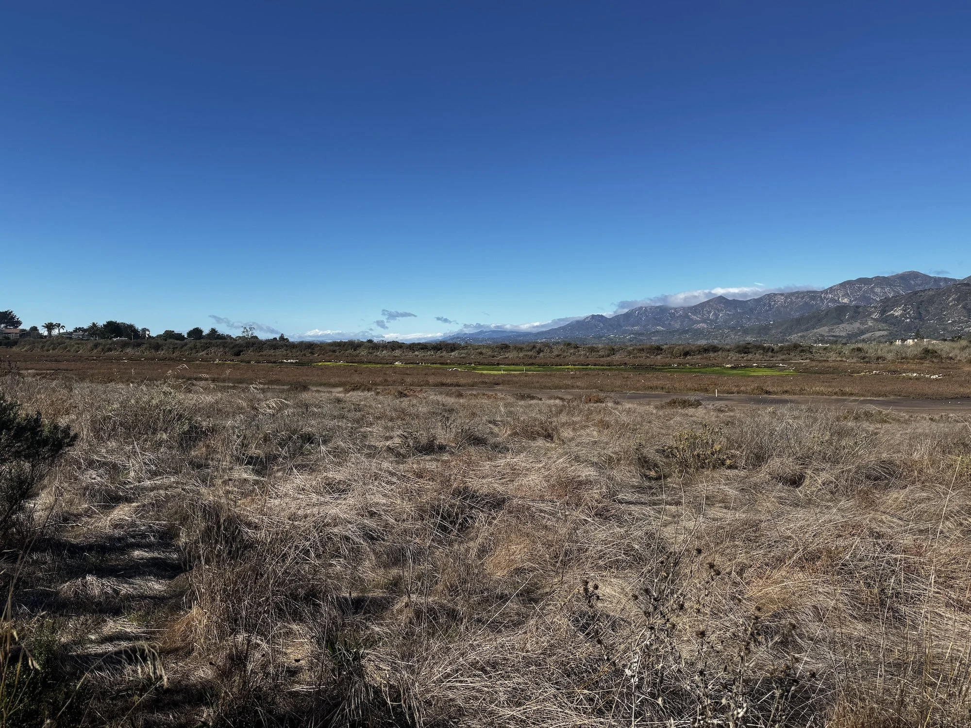 Ventura-2024-05.jpg