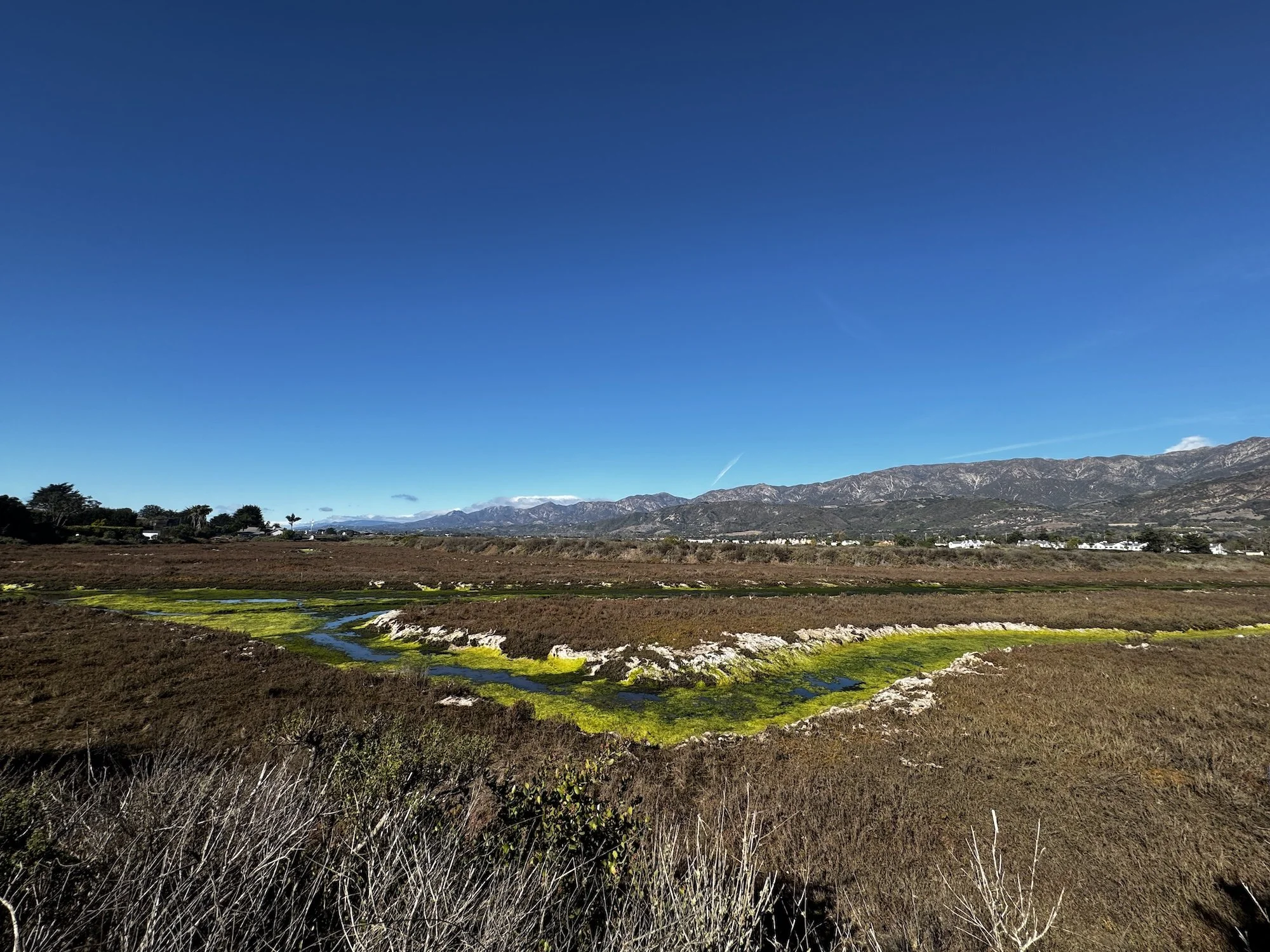 Ventura-2024-06.jpg