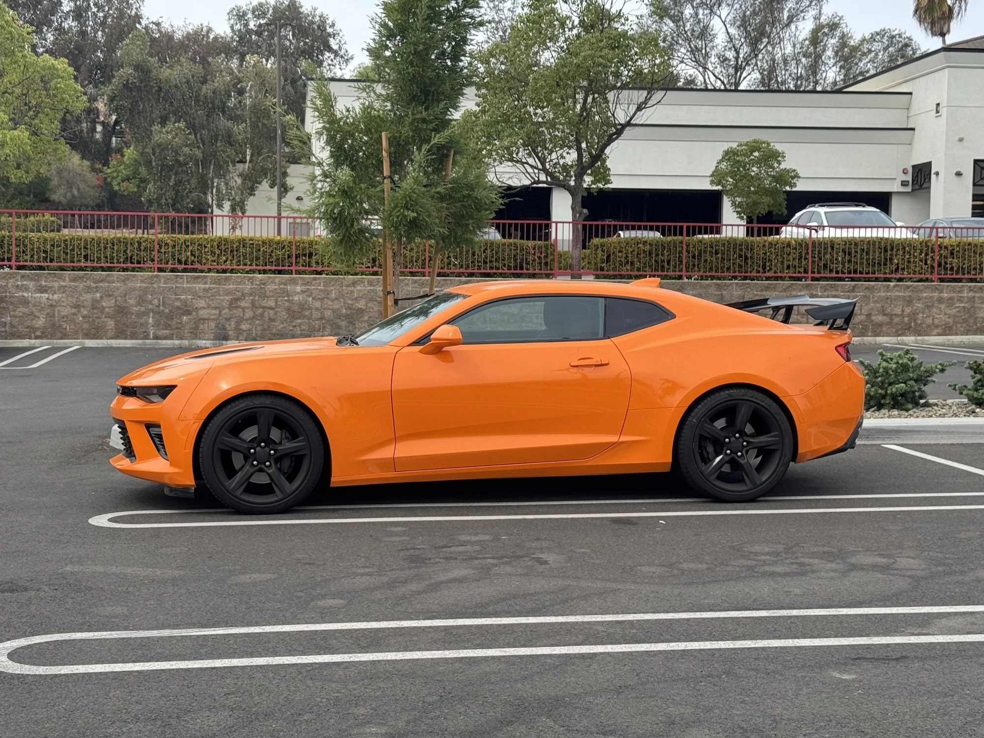 leorangecar0825.jpg