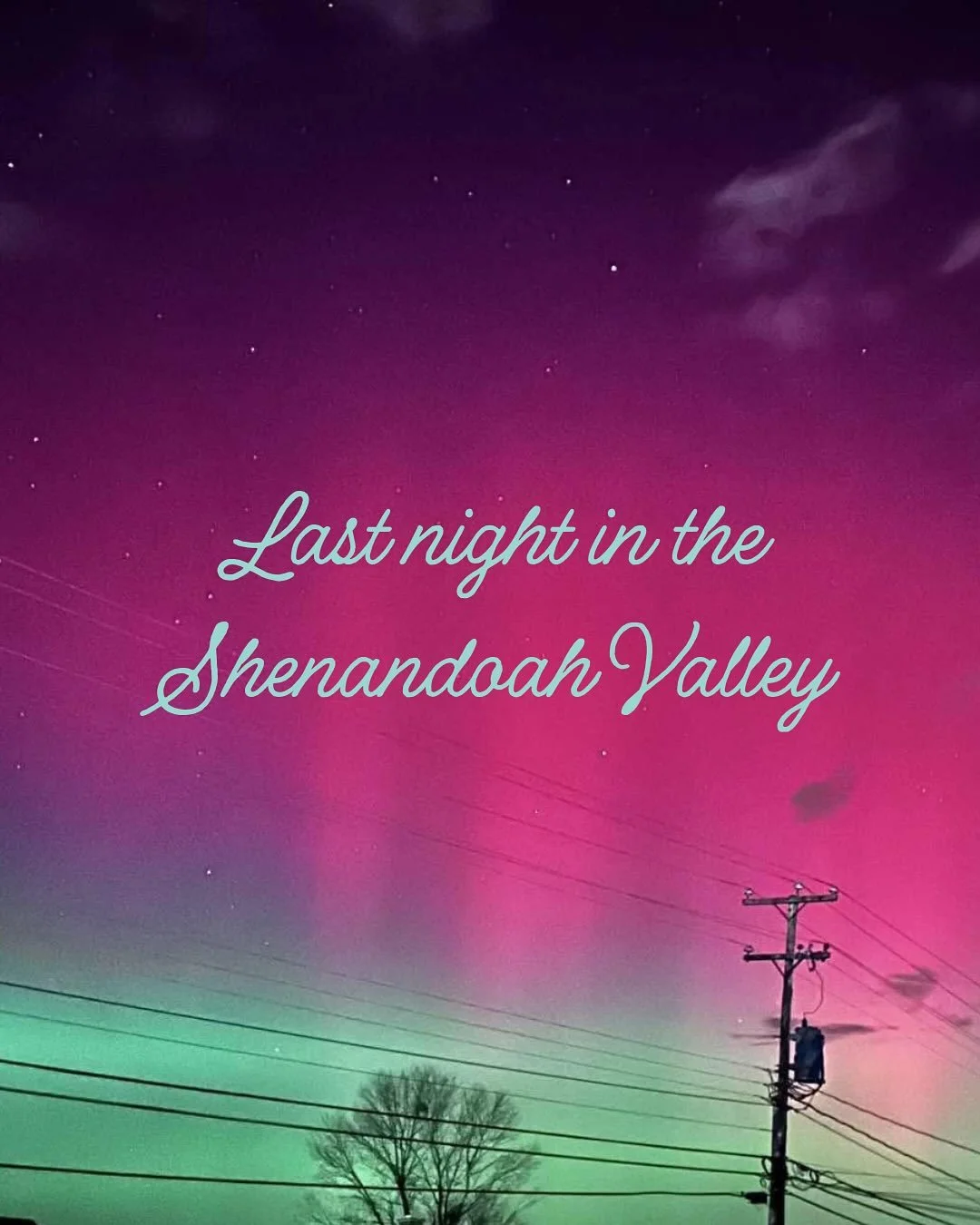 Mother nature showed up on theme last night! Make sure you head to the website to grab your tickets for a great night out with delicious food and drink and fabulous company for a really important cause. Buying your ticket now really helps us plan for