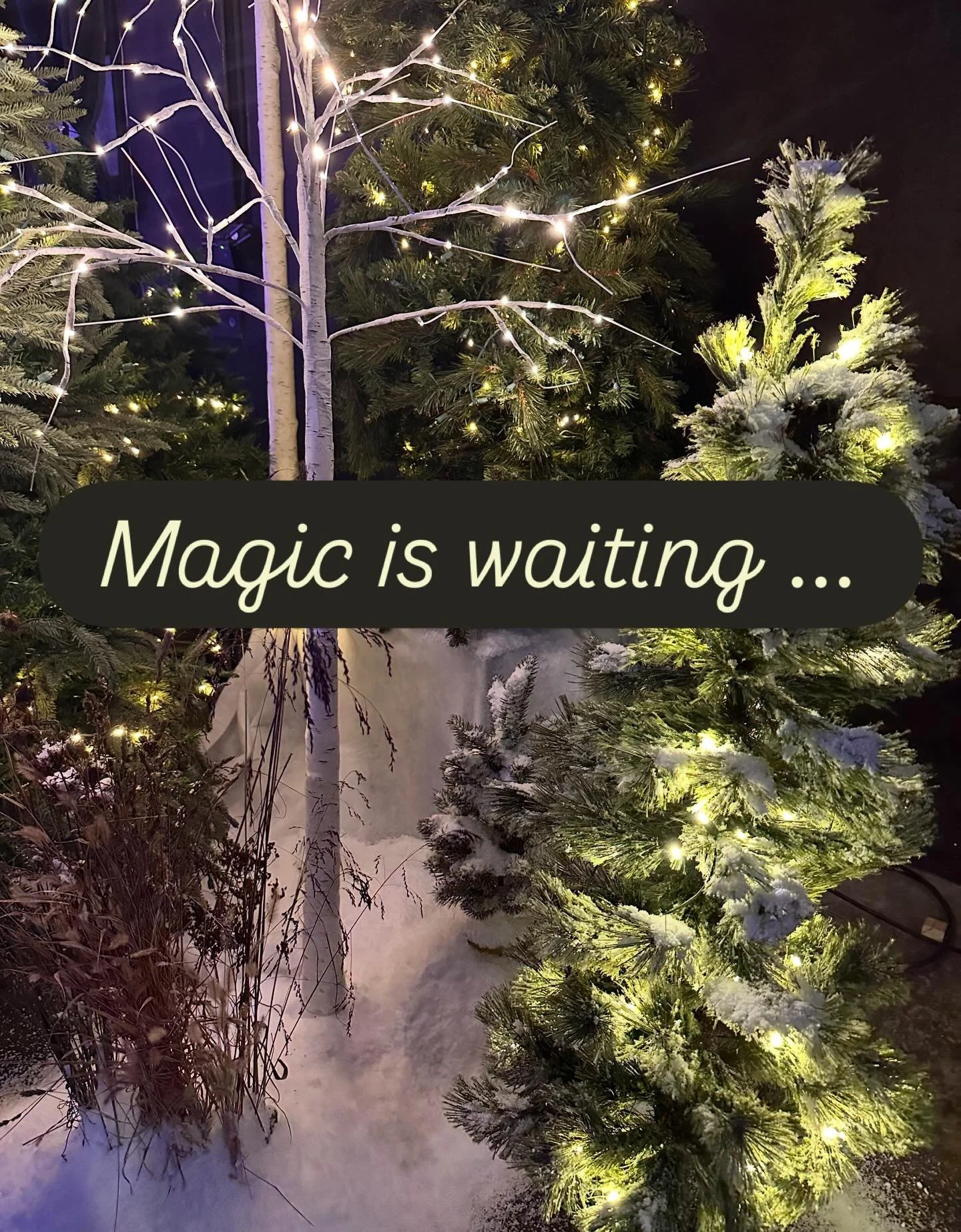 We are technically SOLD OUT but don't have the heart to keep away any more folks who need an evening of hope and light and community. Tickets are still on sale for this Saturday 💫