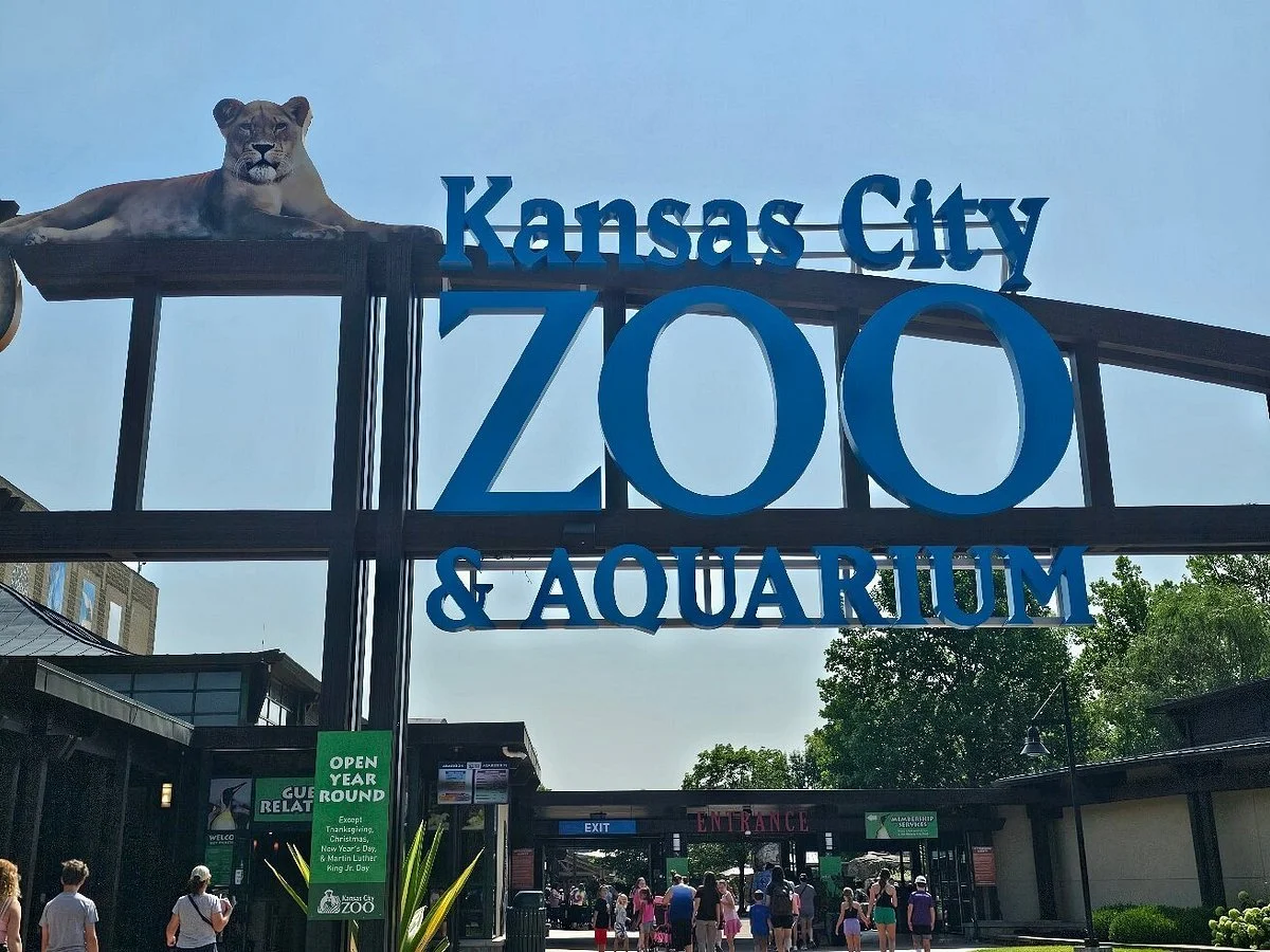 Community Outing: KC Zoo &amp; Aquarium