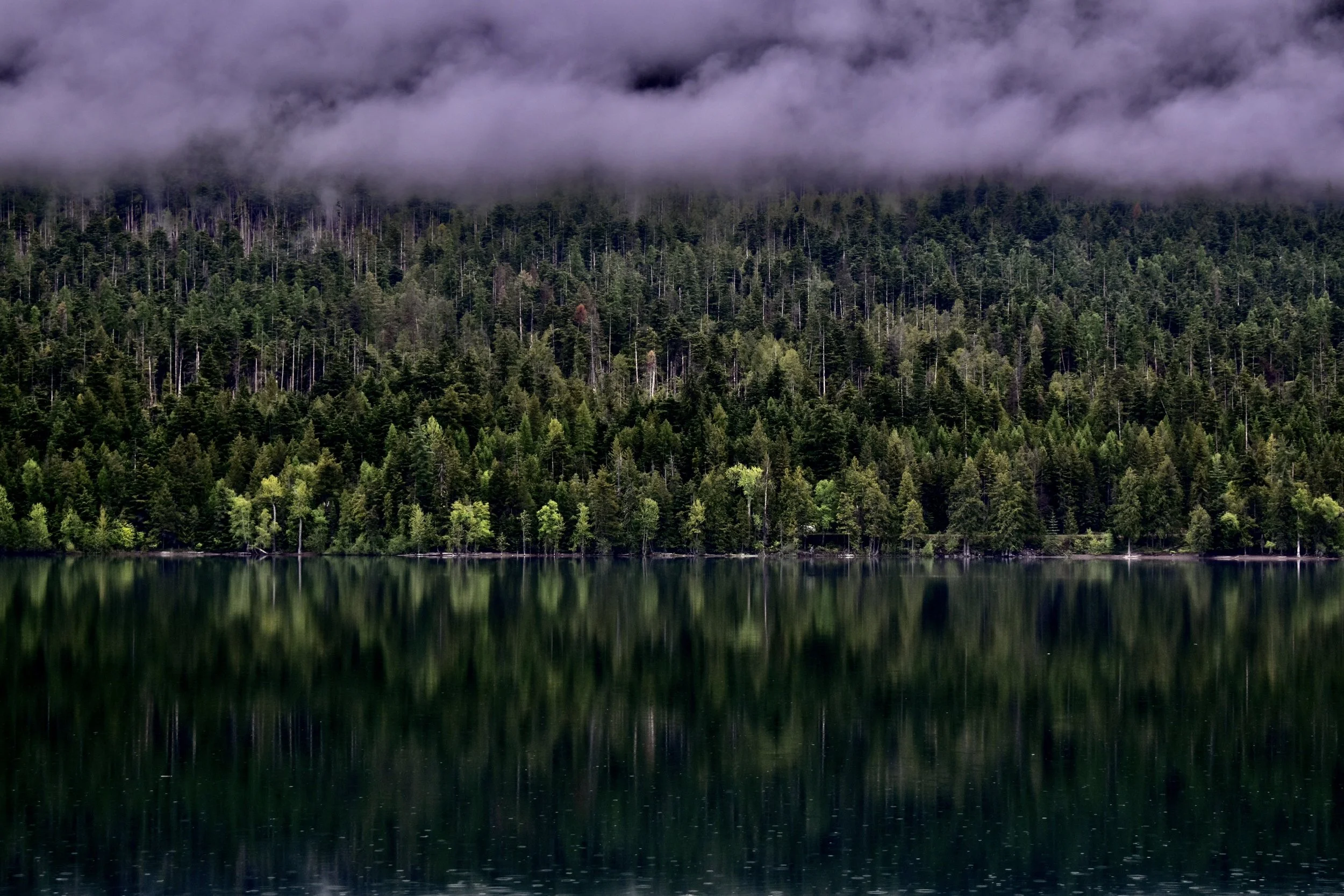 DSC_0833.JPG