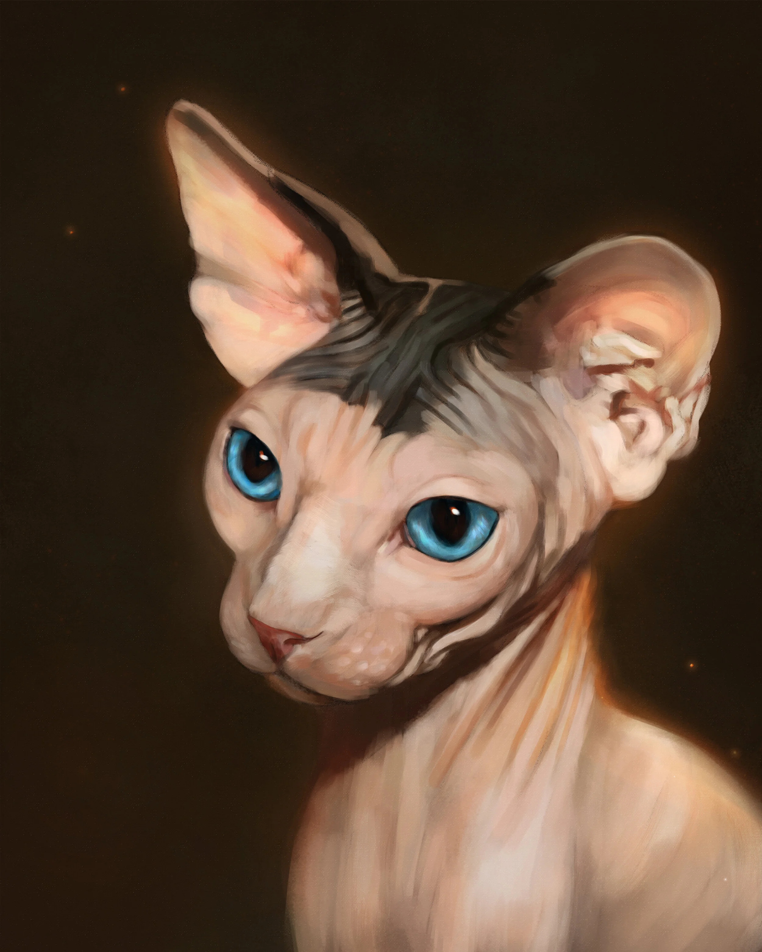 ShinyBald.jpg