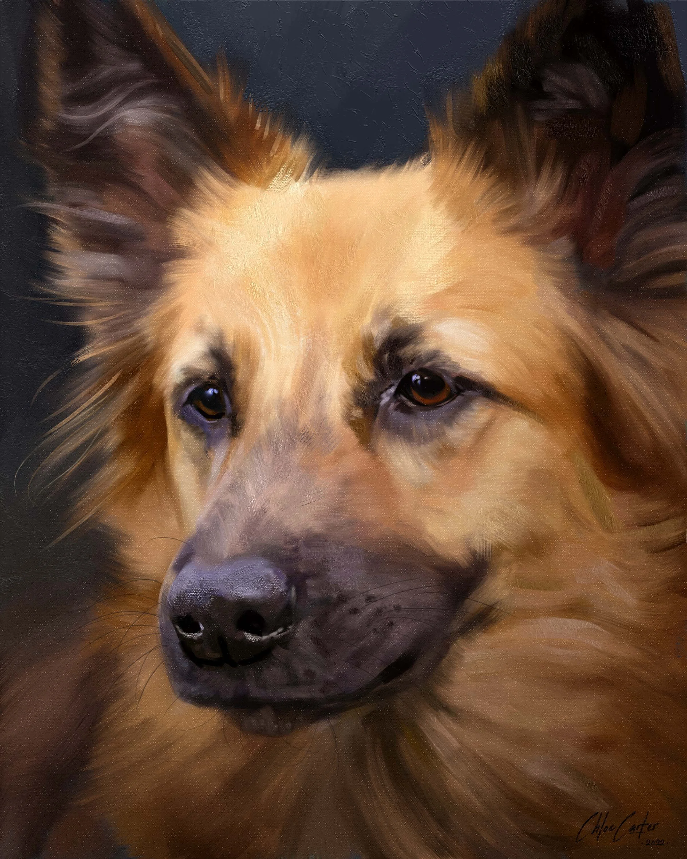DogFaceWIP4.jpg