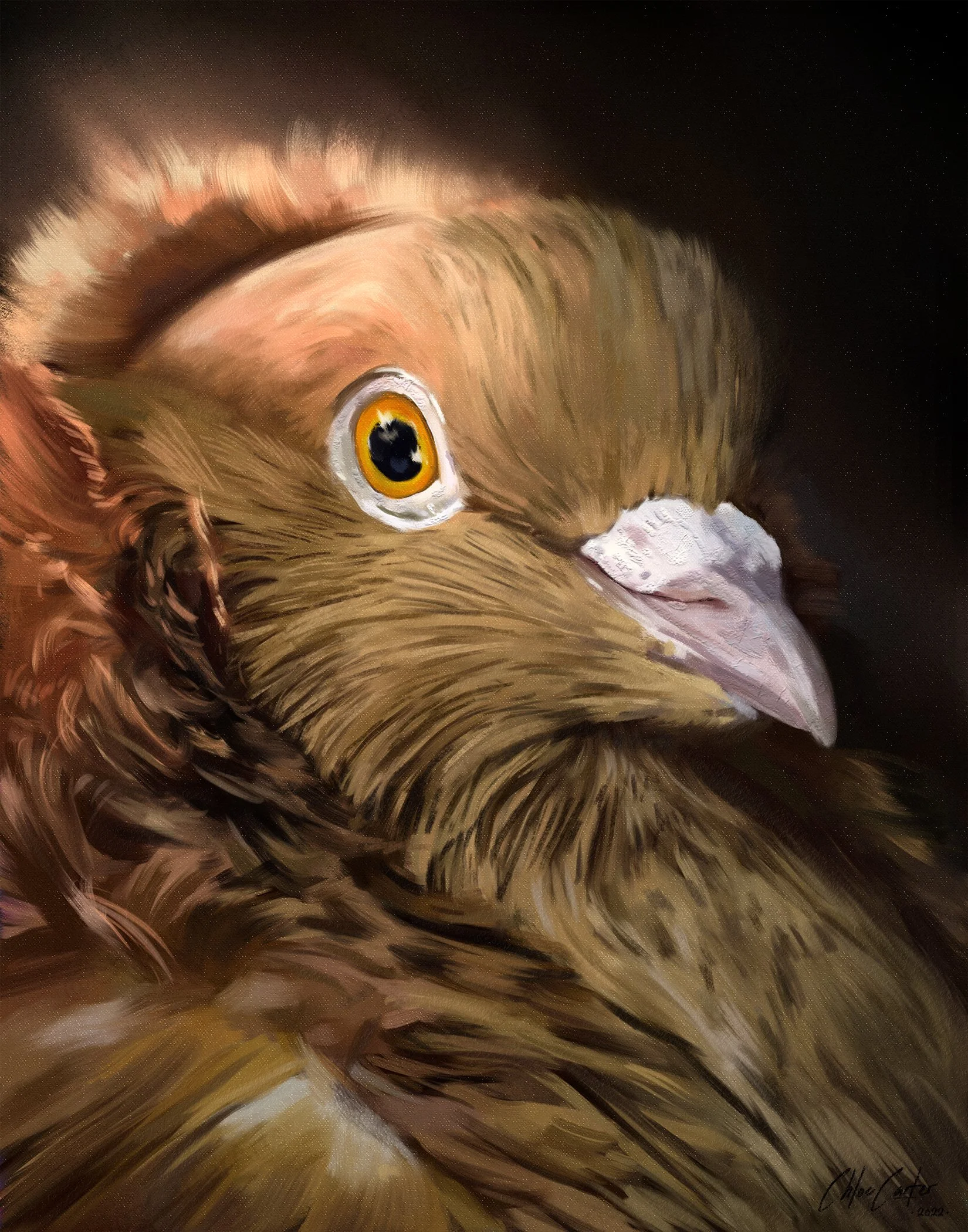 Face(Birb1)WIP4.jpg