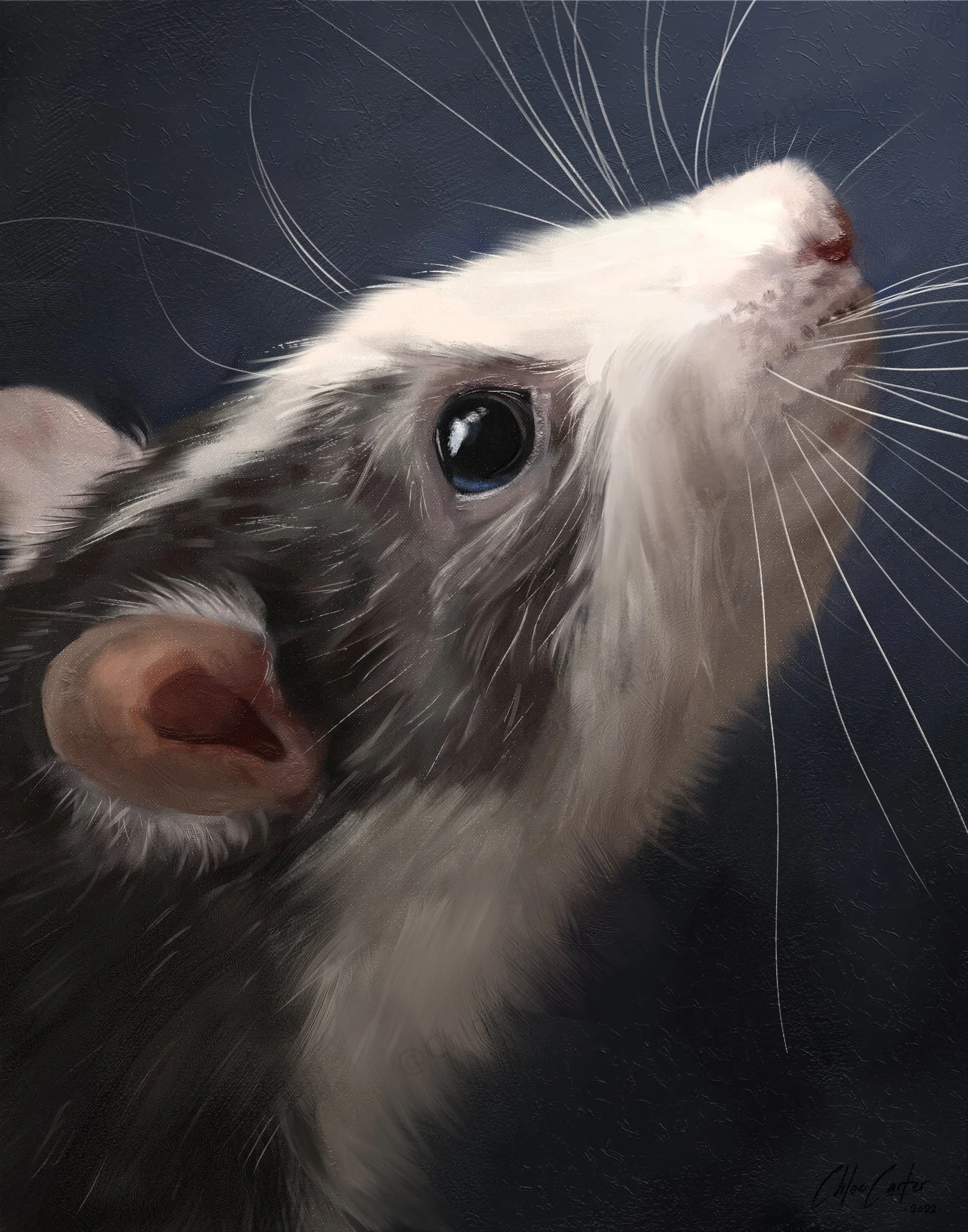 Face(Rat)WIP4.jpg