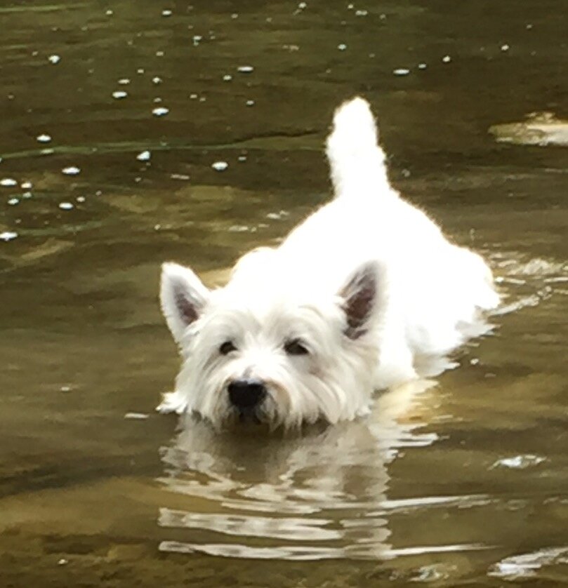 210321 Devlin Laura - Duffy Pic1.jpeg