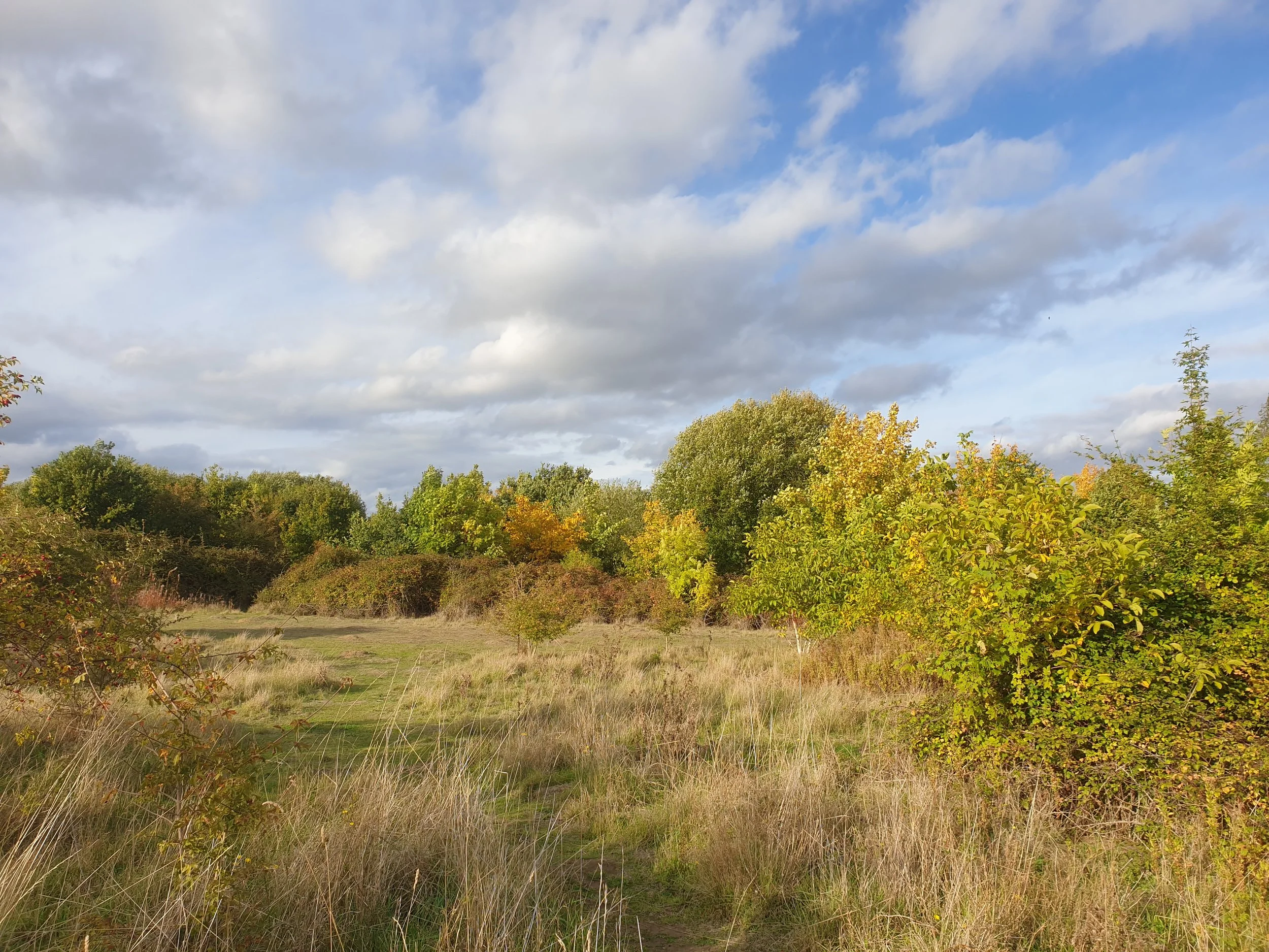 Monthly summer work parties at Croft Close Nature Reserve