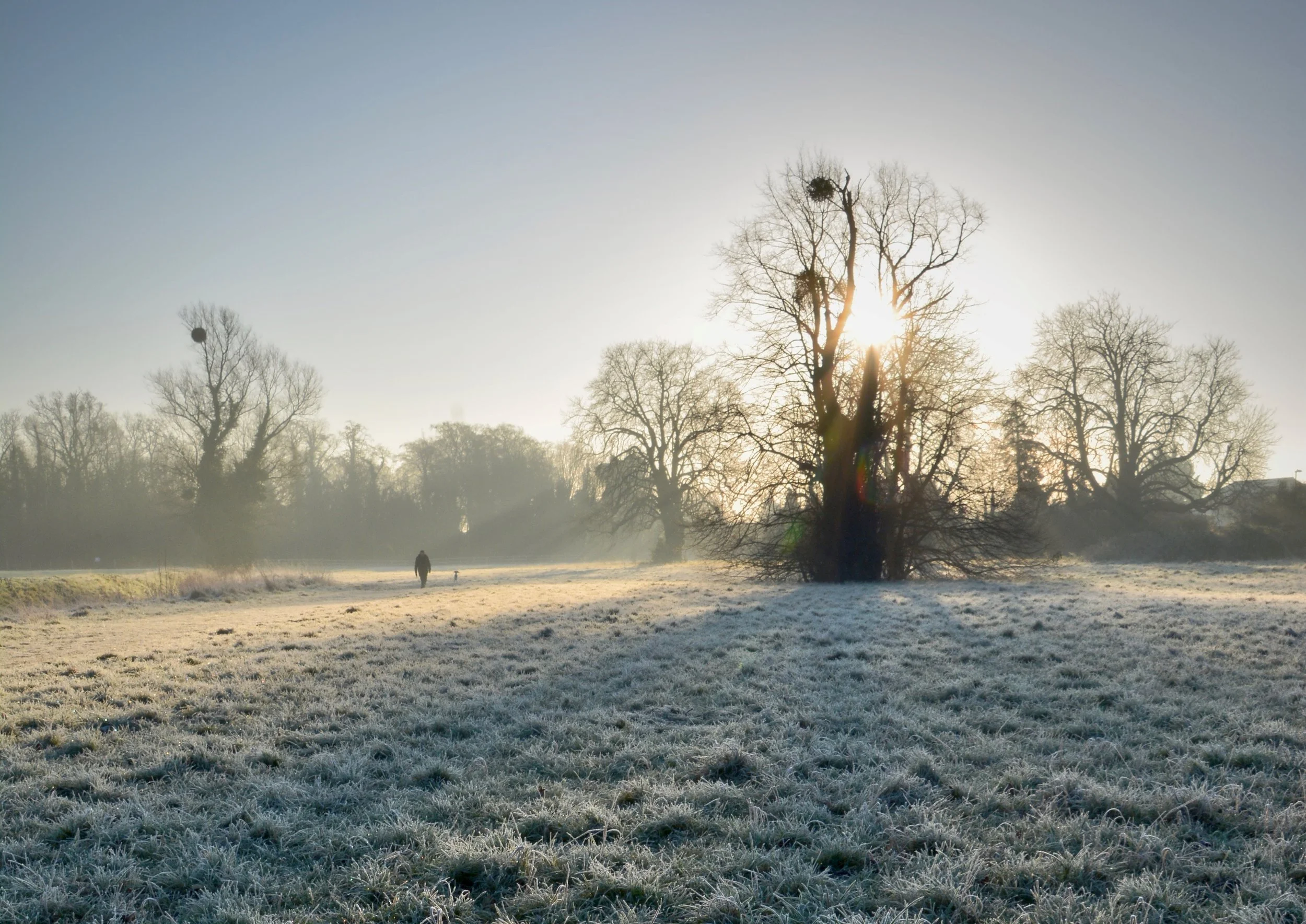 Organisational Structure