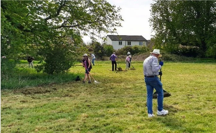Raking work parties at Long Meadow