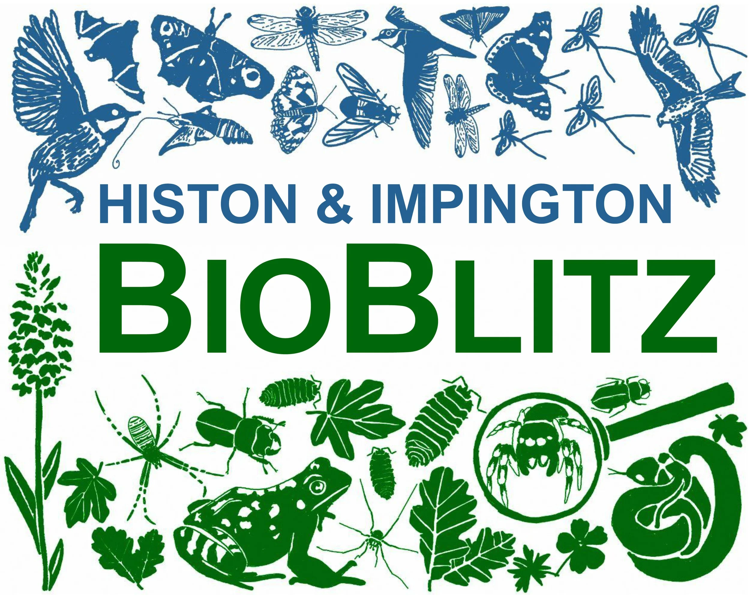 Village BioBlitz