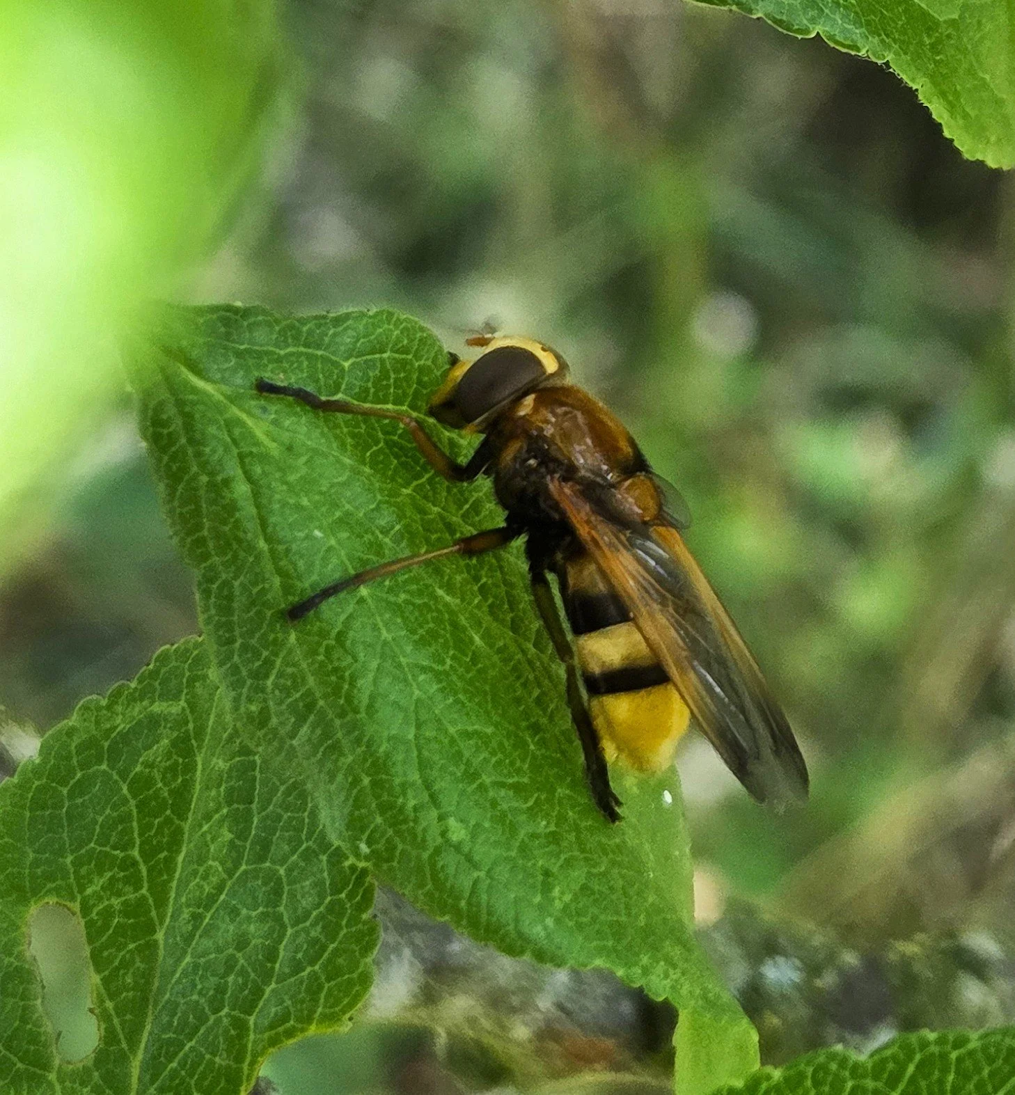 20260627_114546 ed.jpg