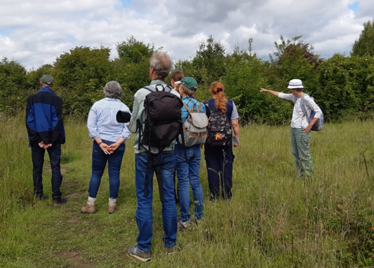 A guided walk at Croft Close Nature Reserve