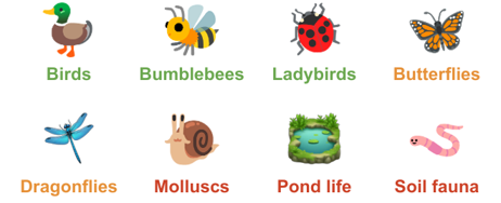 BioBlitz Resources