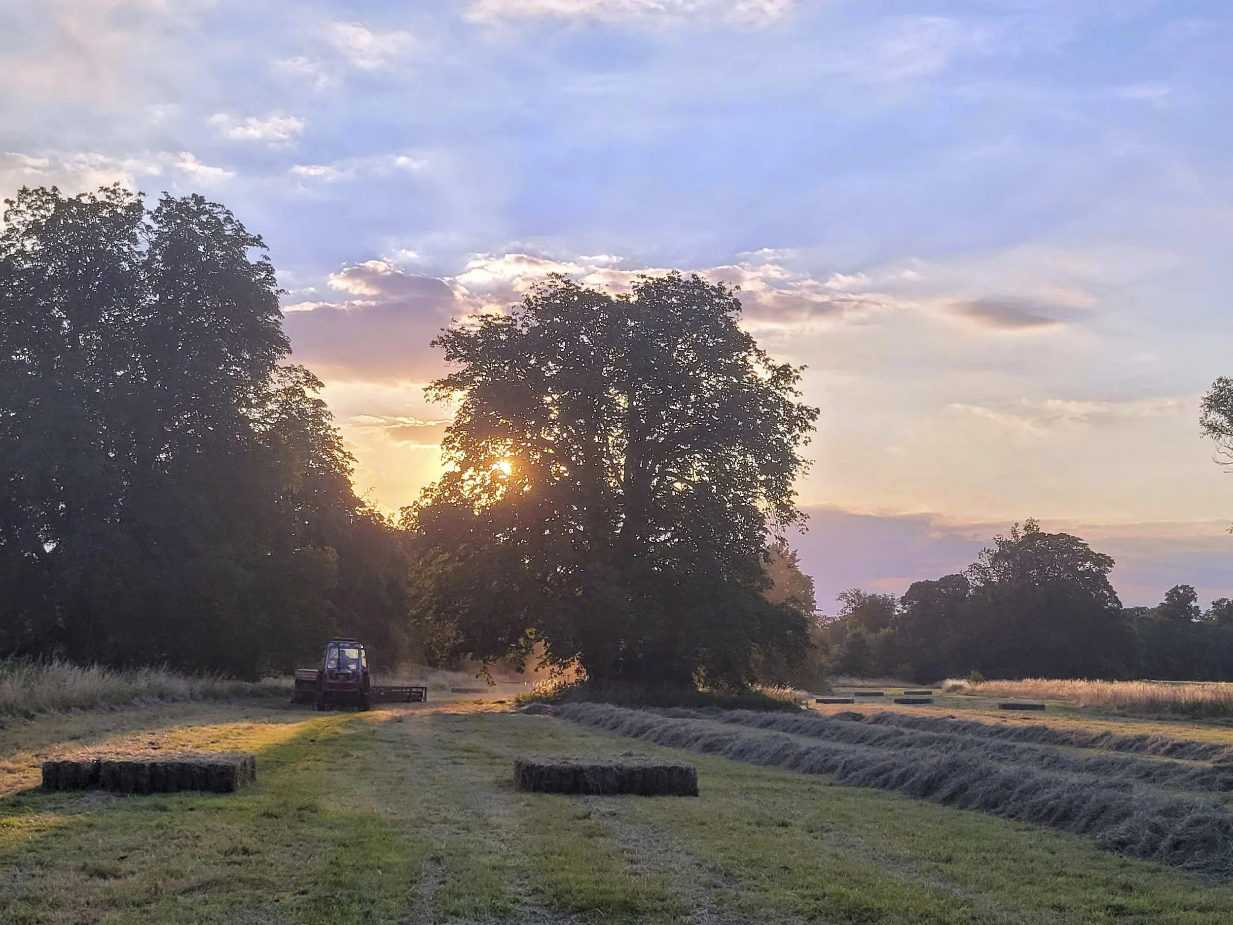 July; Long Meadow sunset; Photo by Gill Attmore