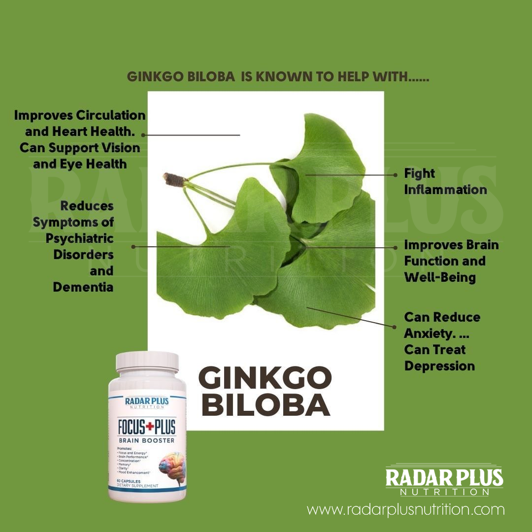 Ginkco Biloba + Burdock, Bladderwrack & Seamoss + Herbal Blend