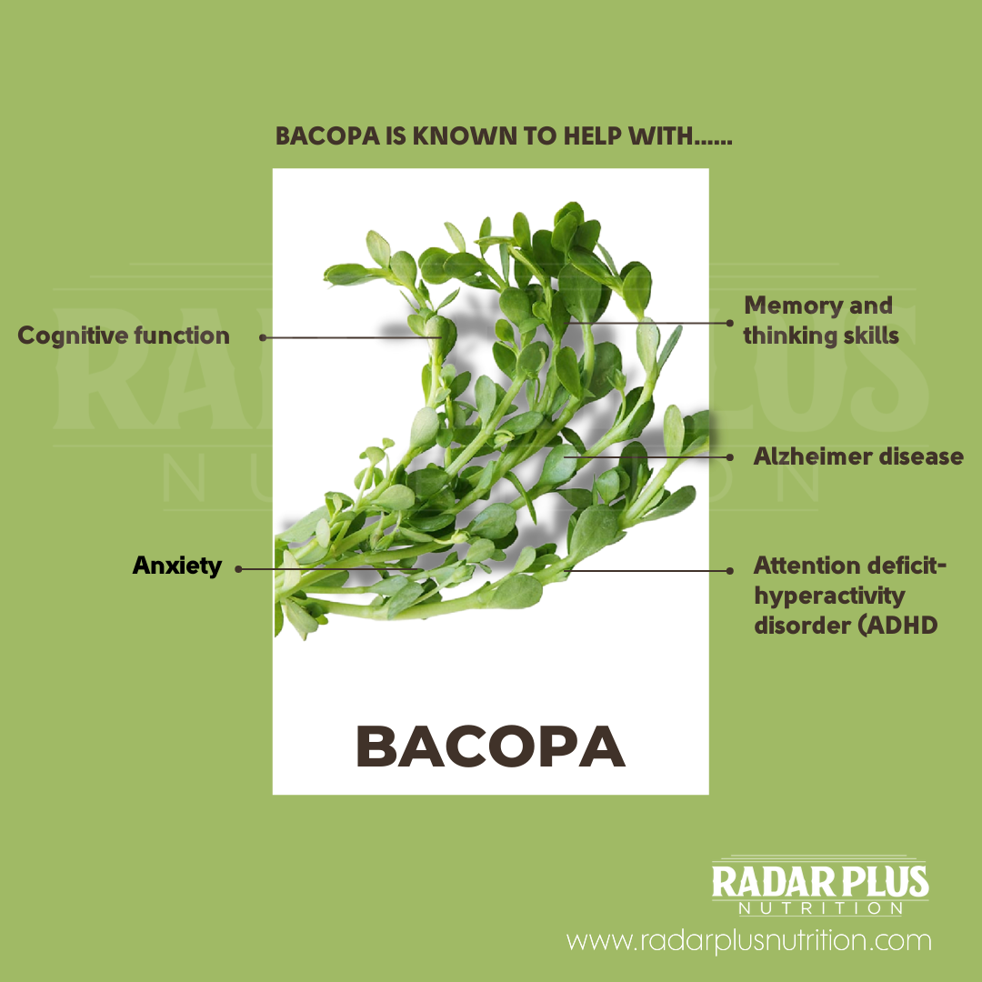 Bocopa + Burdock, Bladderwrack & Seamoss + Herbal Blend