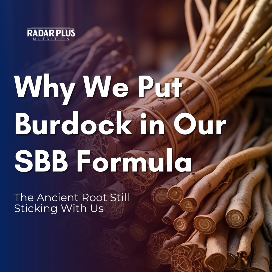 Burdock: The Humble Root with a Legendary Past