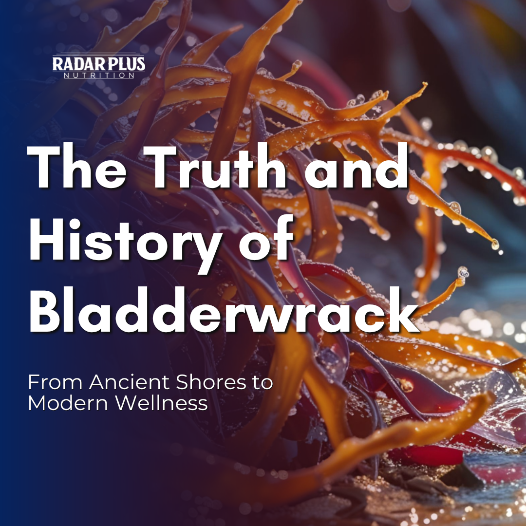 Bladderwrack: The Sea’s Ancient Gift to Modern Wellness