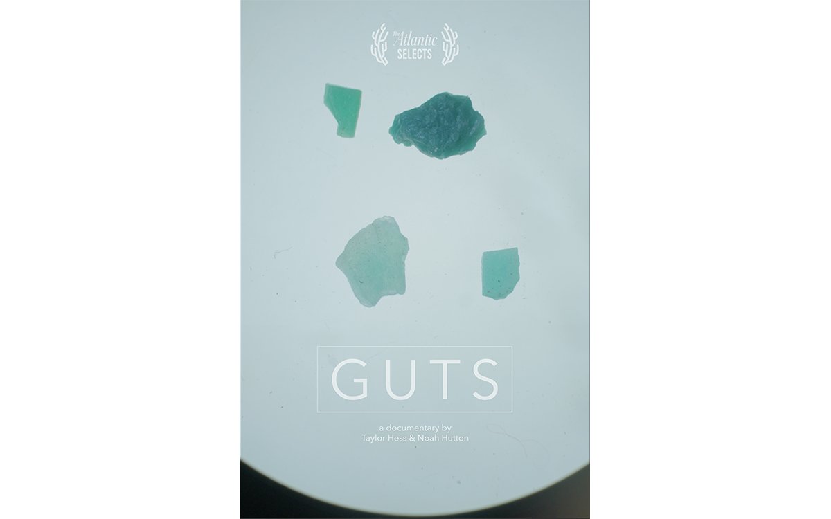 Guts