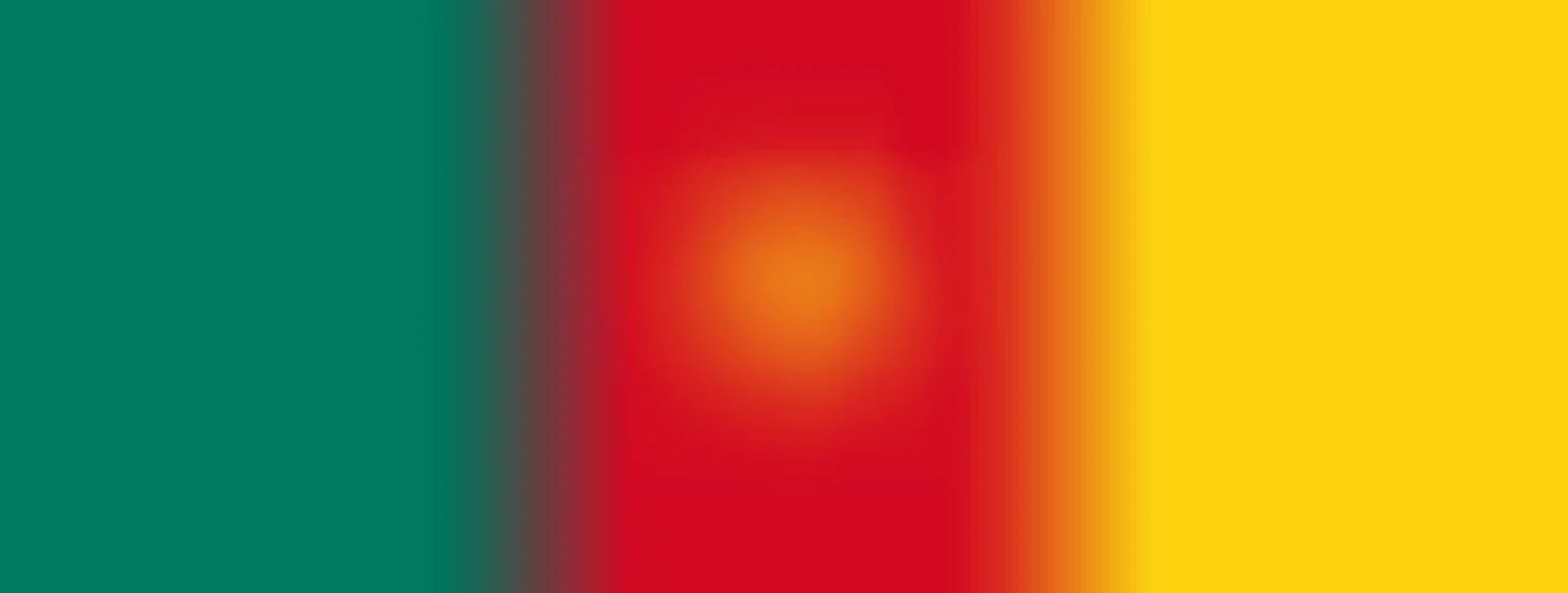 CMR Flag background.JPG