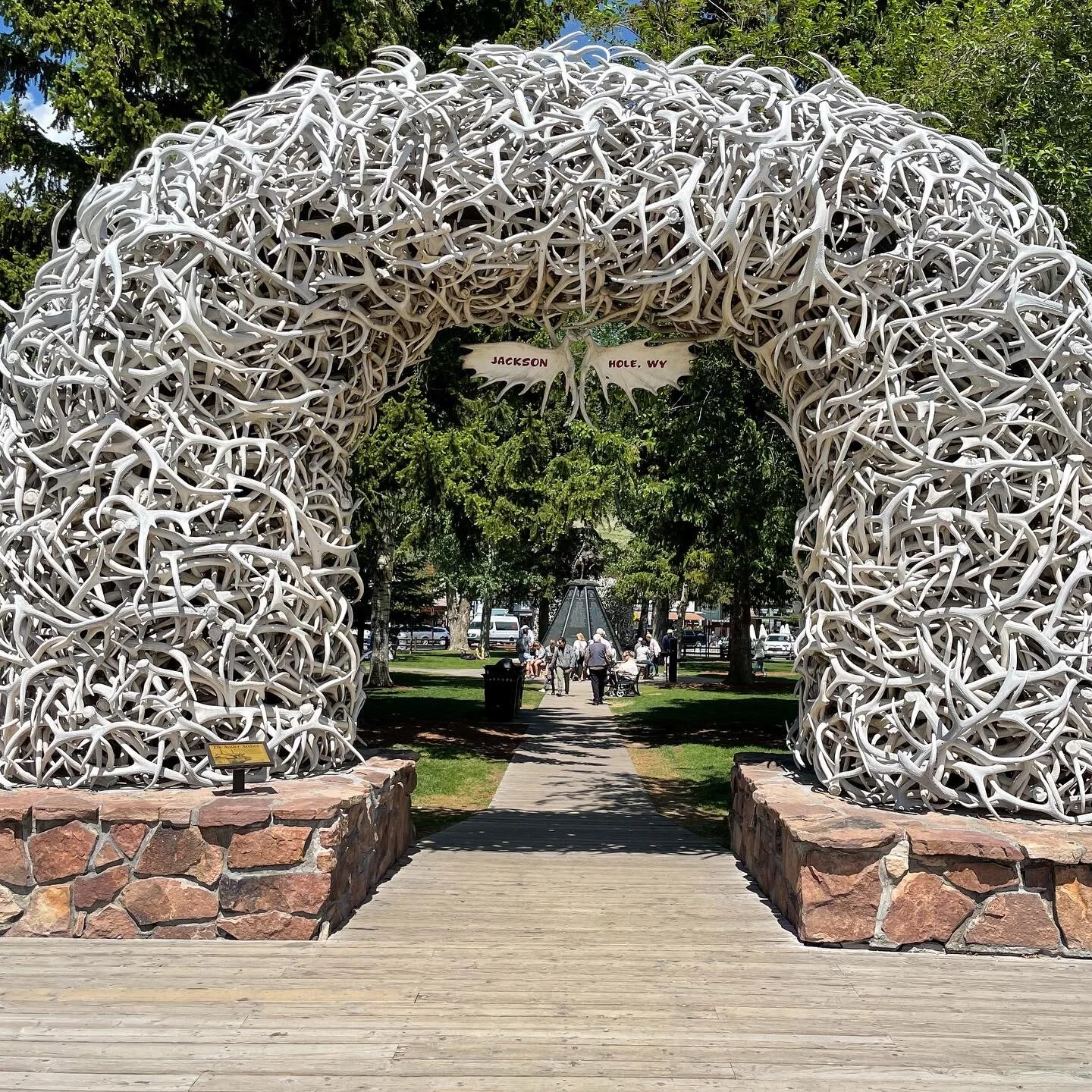 Photo: Shelly Wildman