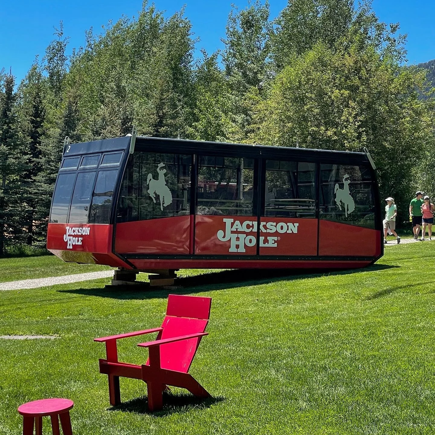 Photo: Shelly Wildman