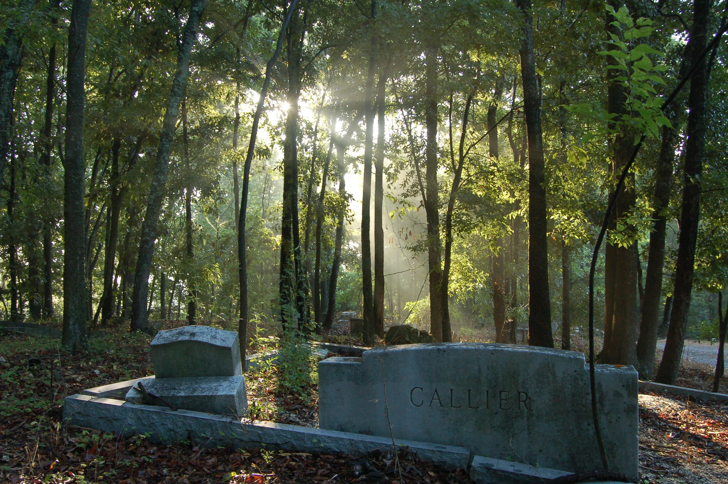 Pleasant Garden — AACPF