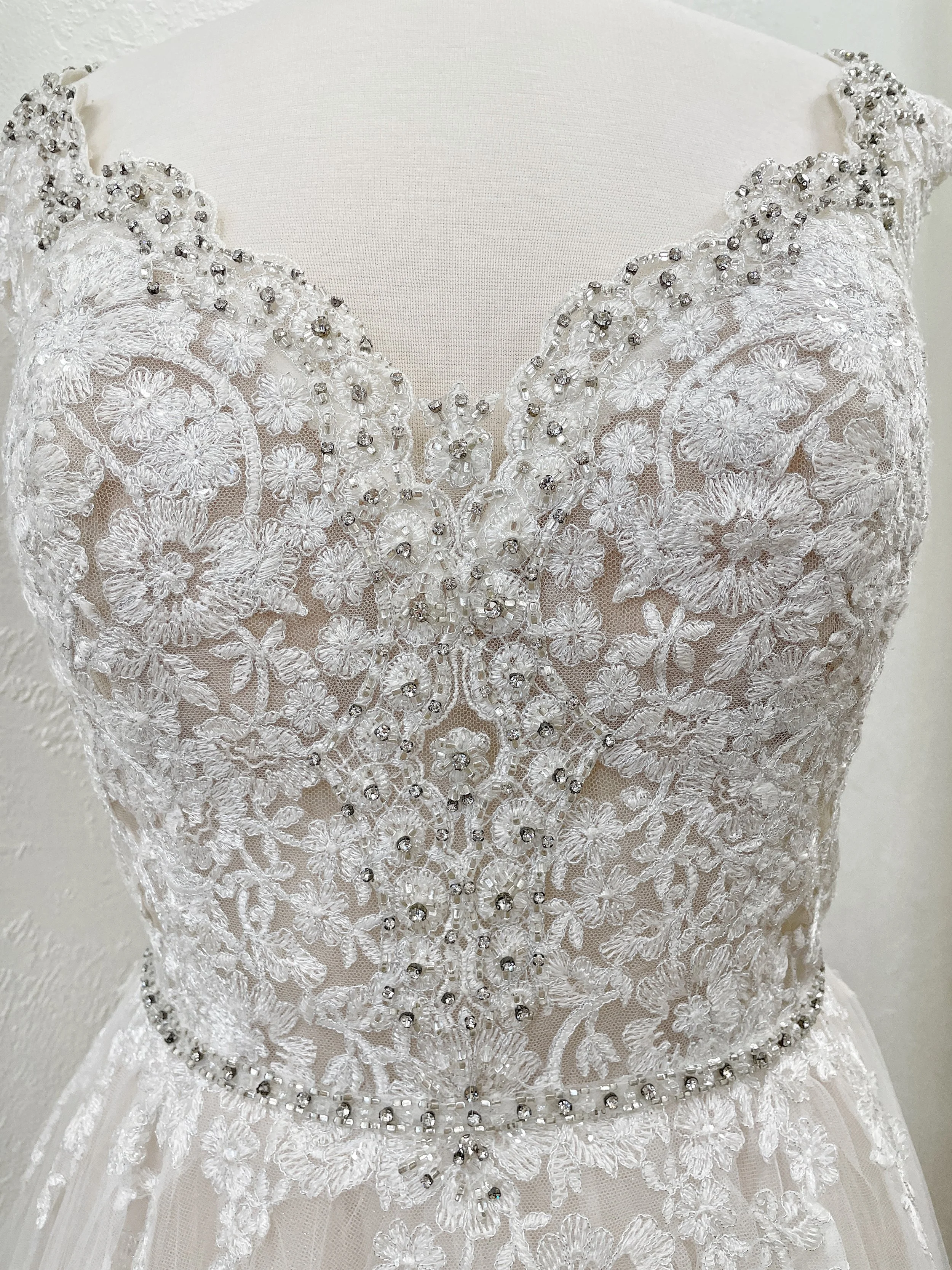 IMG_5659.JPG