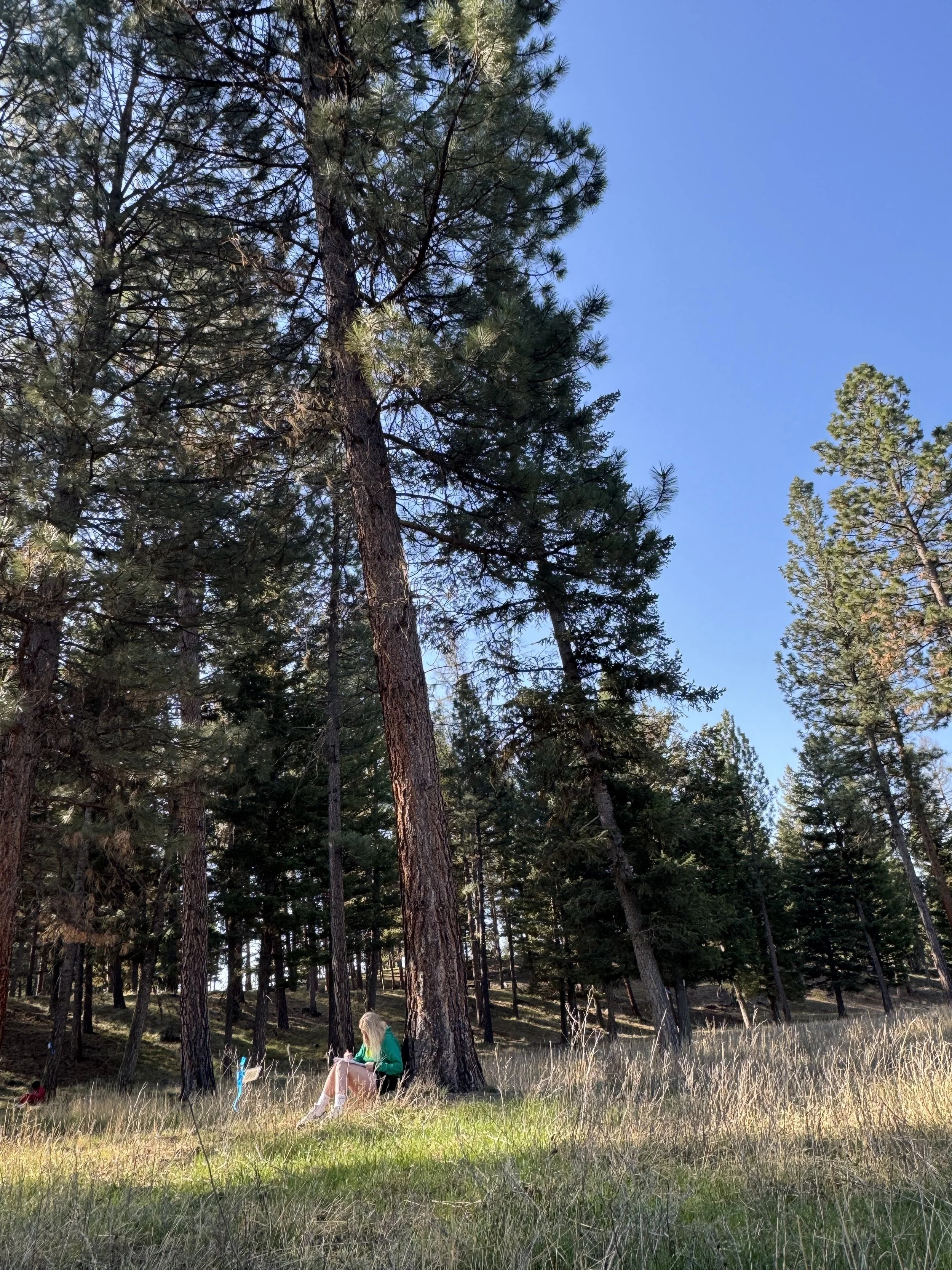 Montana Outdoor education