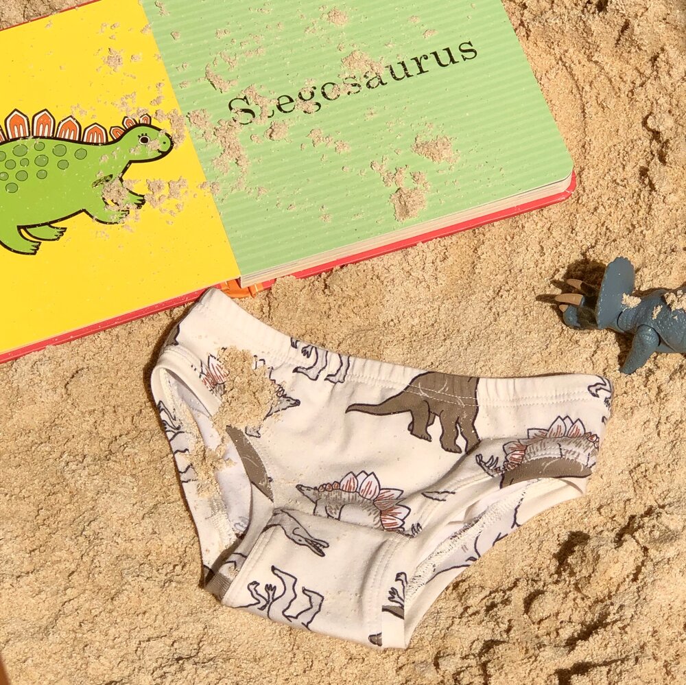 Dinosaur Organic Cotton Girls Undies — by Audrey & Grace