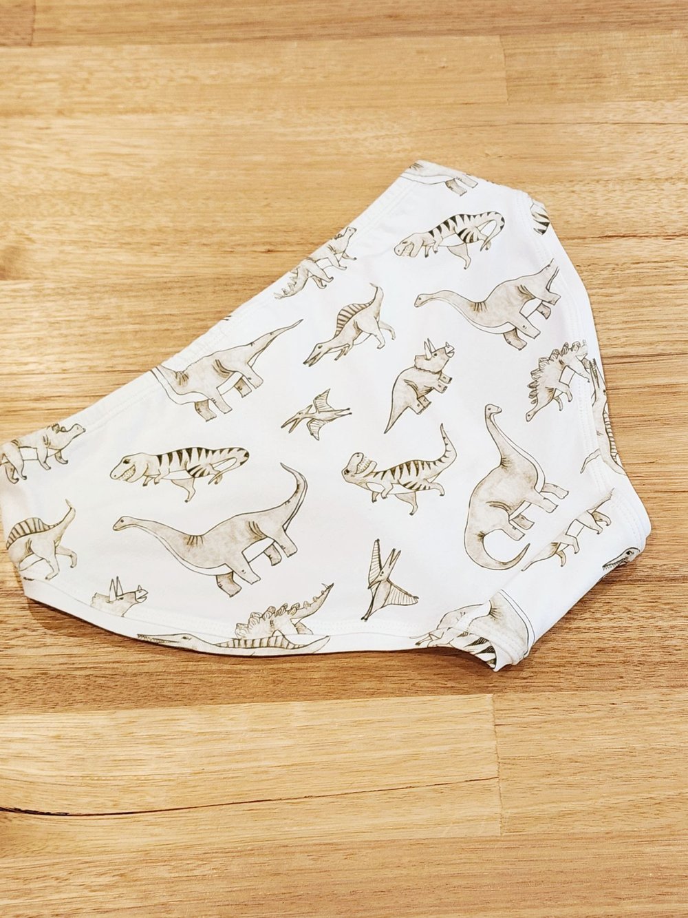 Dinosaur Hipsters Womens Cotton Underwear — by Audrey & Grace