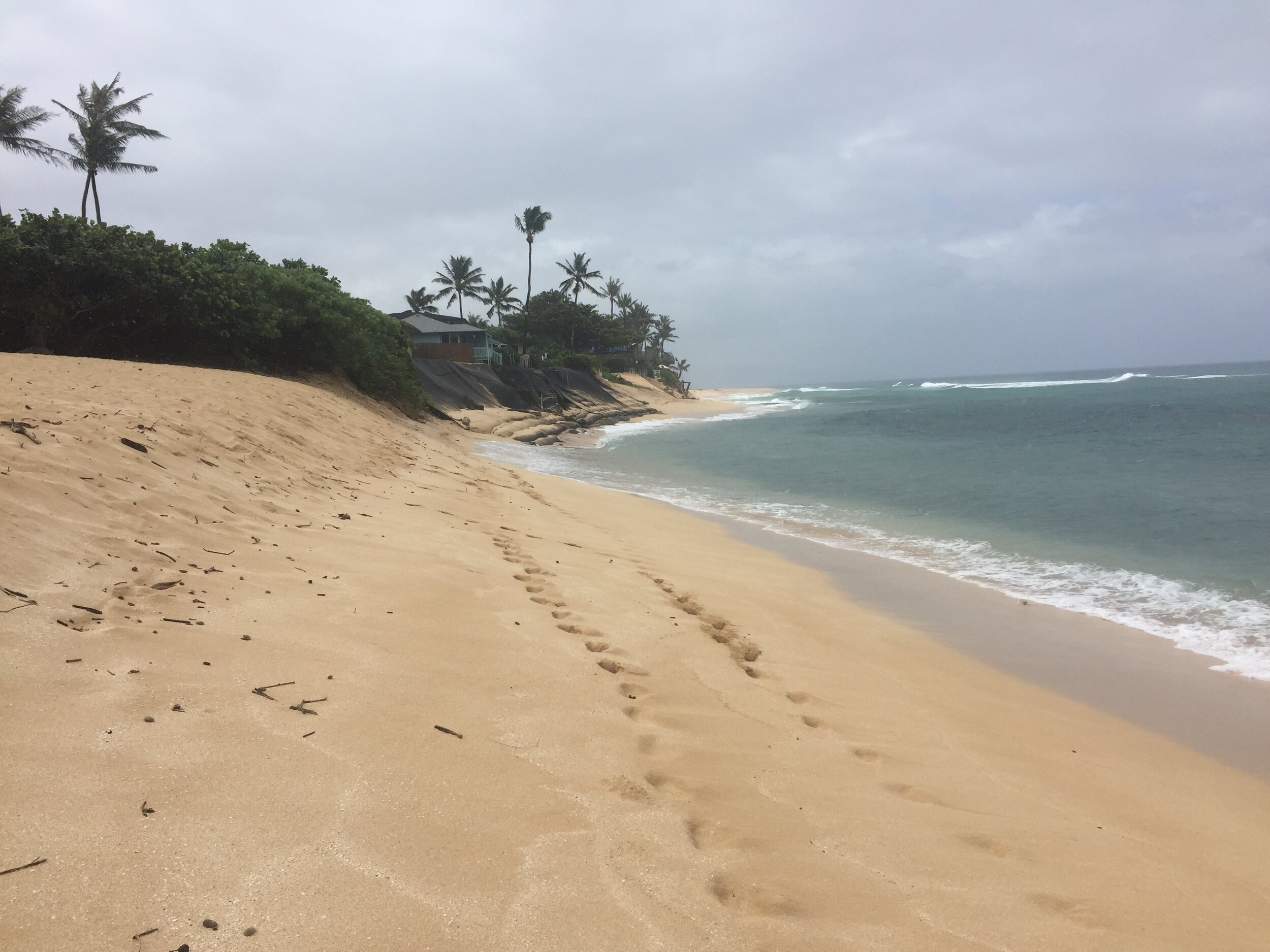 Coastal management and allowing beaches to be beaches