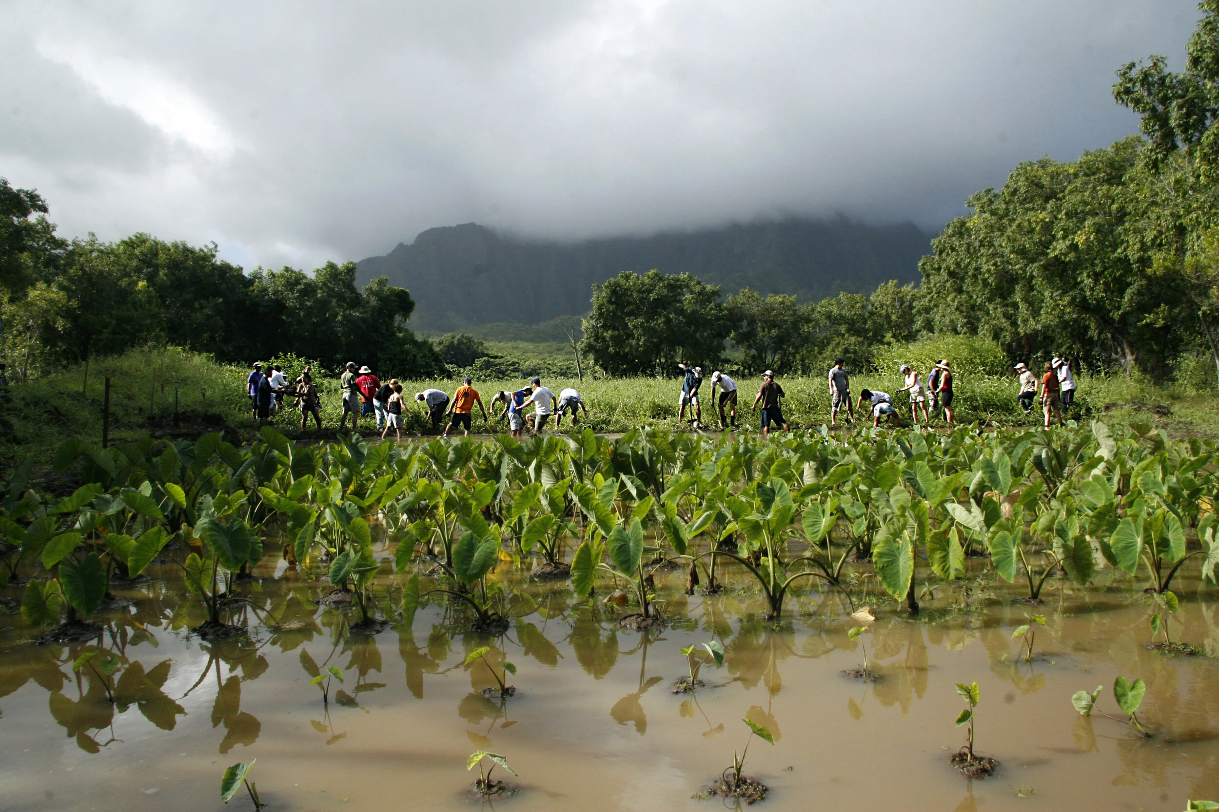 Cultural and environmental restoration