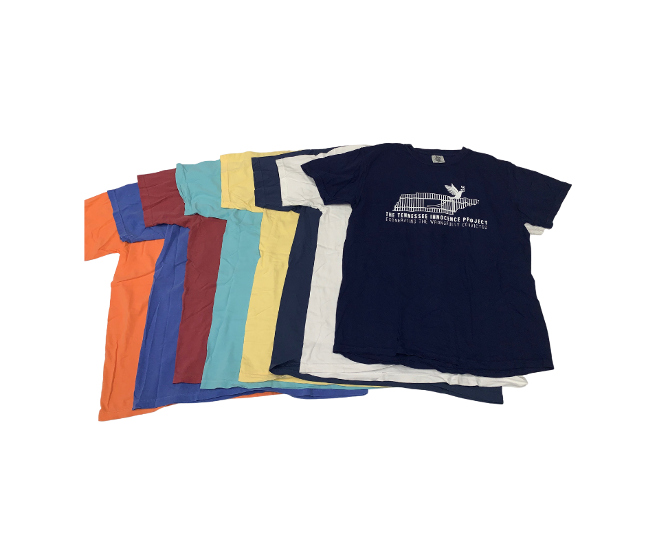 Innocence T-Shirt Print Foam - Padded Bra 1Pc Pack - Assorted Color
