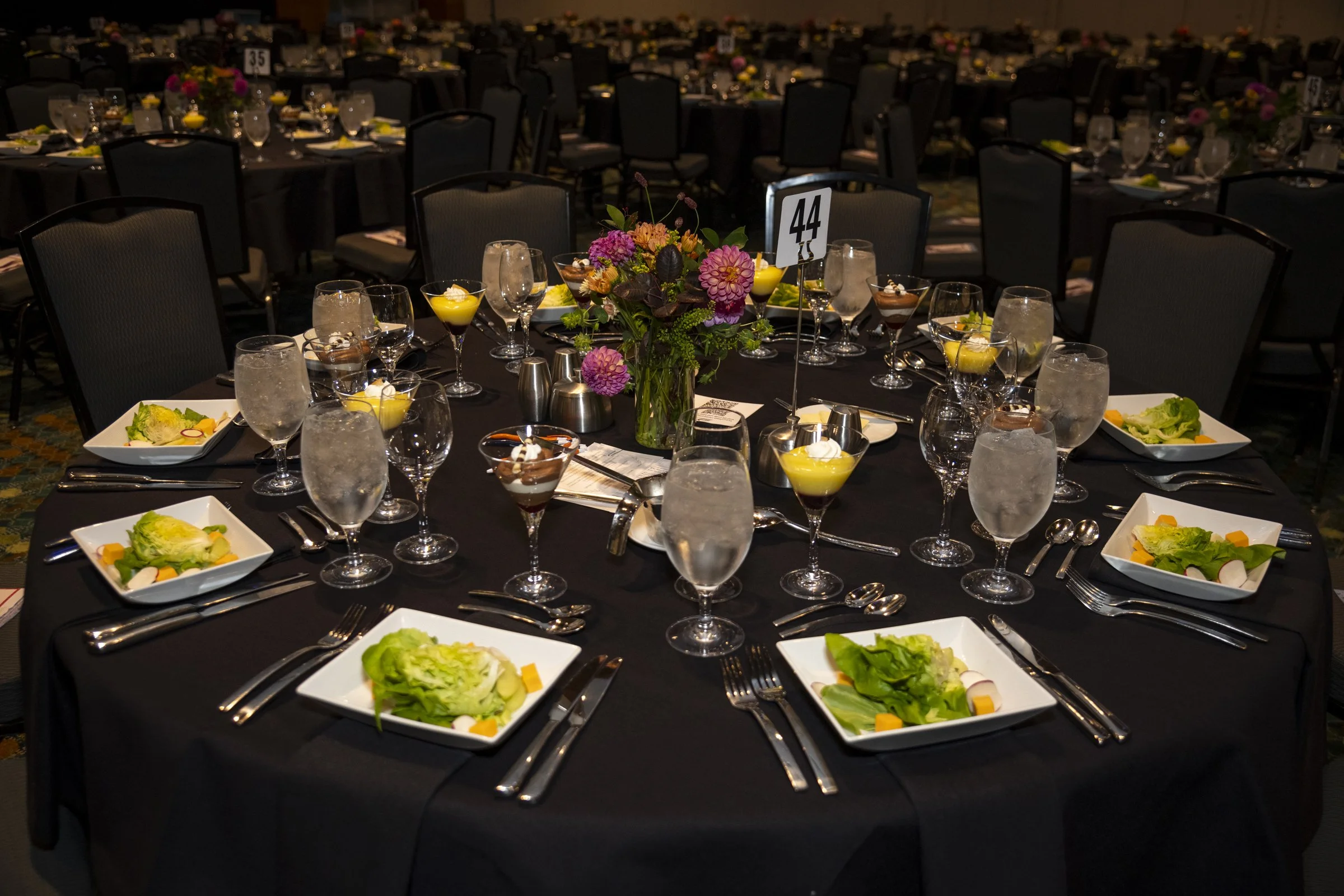 TN Innocense 102523 JRS_0038.jpg